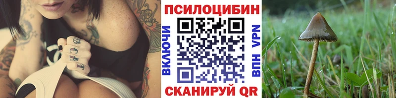 Псилоцибиновые грибы Psilocybine cubensis  Унеча 